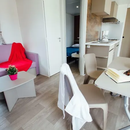 Mas Des Lavandes Kamp alanı 4*