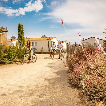 Mas Des Lavandes Kamp alanı 4*